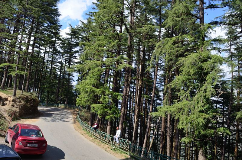 Dhanaulti sightseeing trip